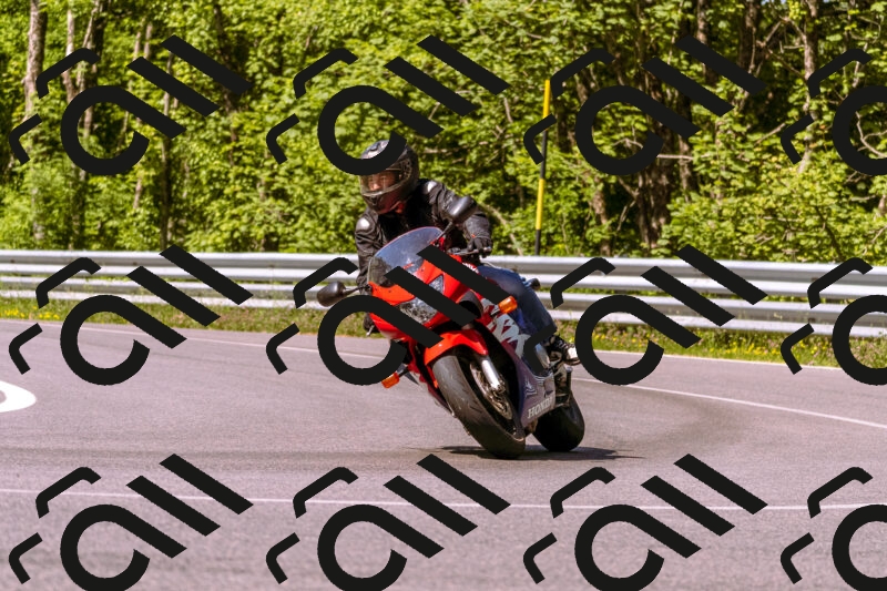 202506081032-_DSC8195_d1_