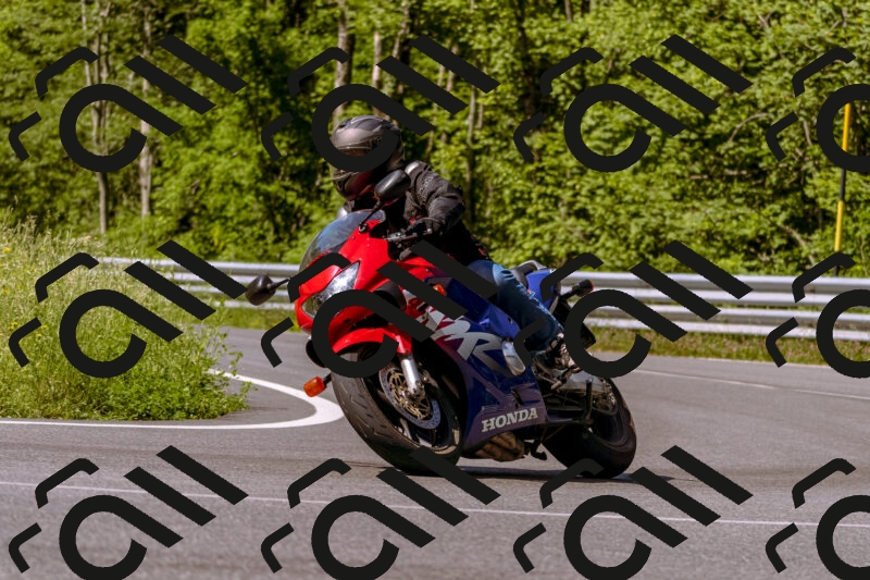 202506081032-_DSC8196_d1_