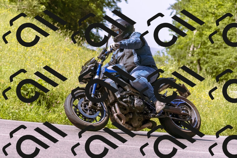 202506081032-_DSC8200_d1_