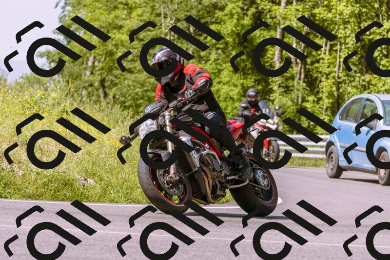 202506081038-_DSC8217_d1_