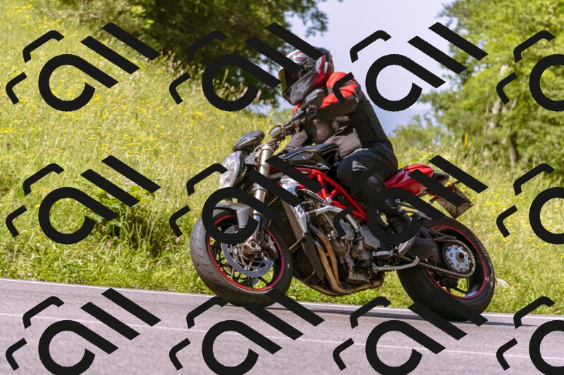 202506081038-_DSC8218_d1_