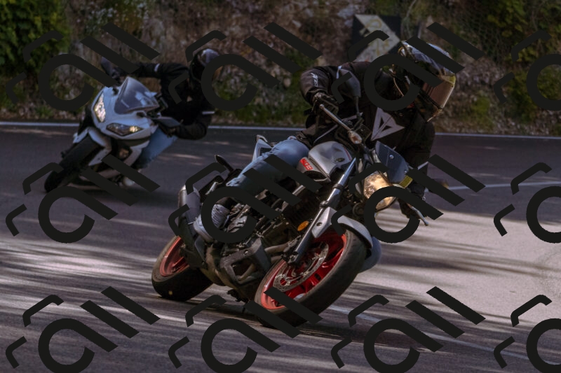 202506081042-_DSC8231_d1_