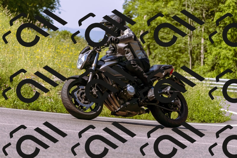 202506081042-_DSC8235_d1_