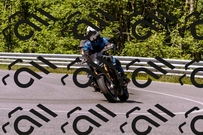 202506081044-_DSC8236_d1_