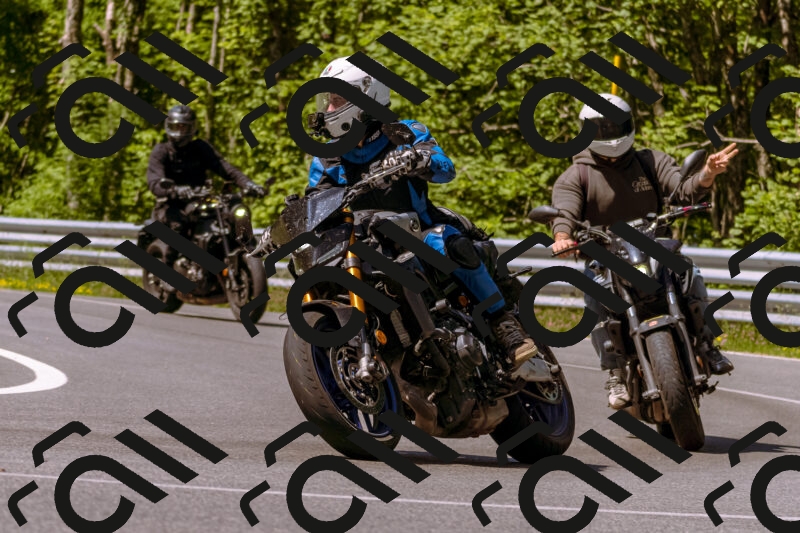 202506081044-_DSC8237_d1_