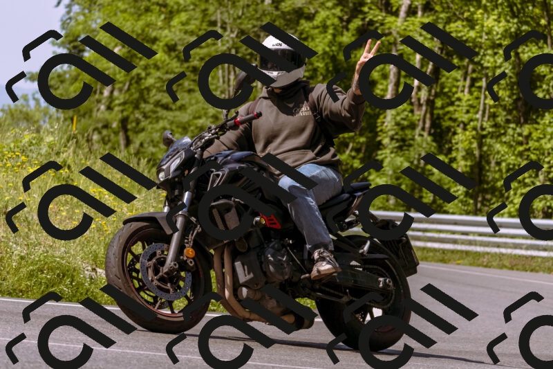 202506081044-_DSC8239_d1_