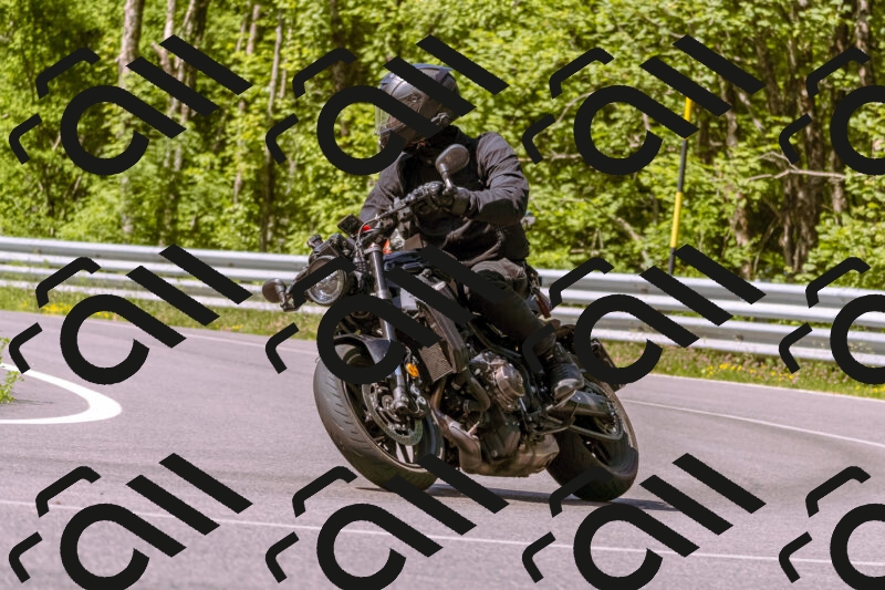 202506081044-_DSC8240_d1_