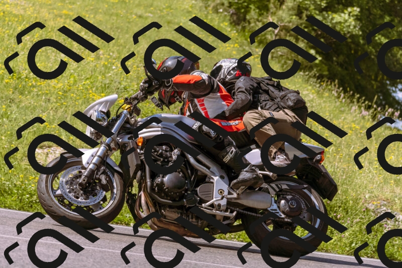 202506081044-_DSC8244_d1_