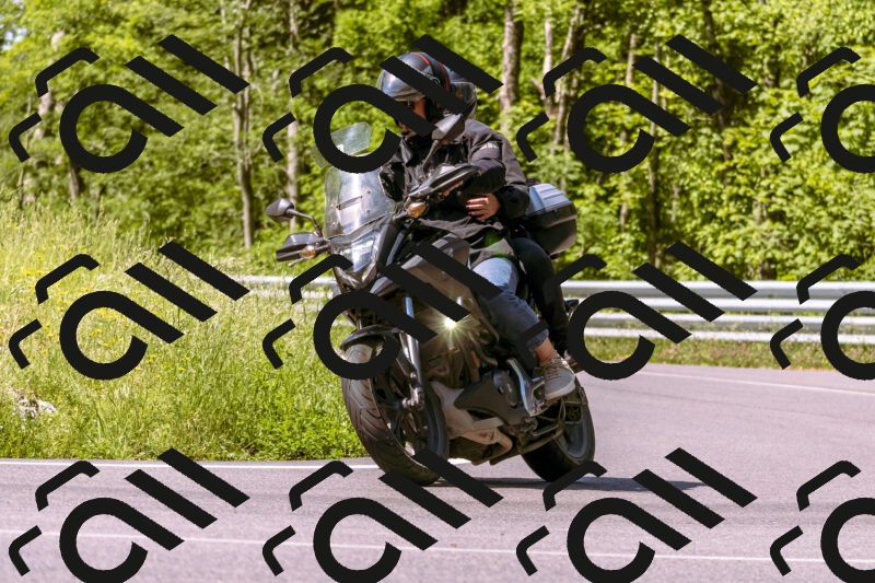 202506081050-_DSC8252_d1_