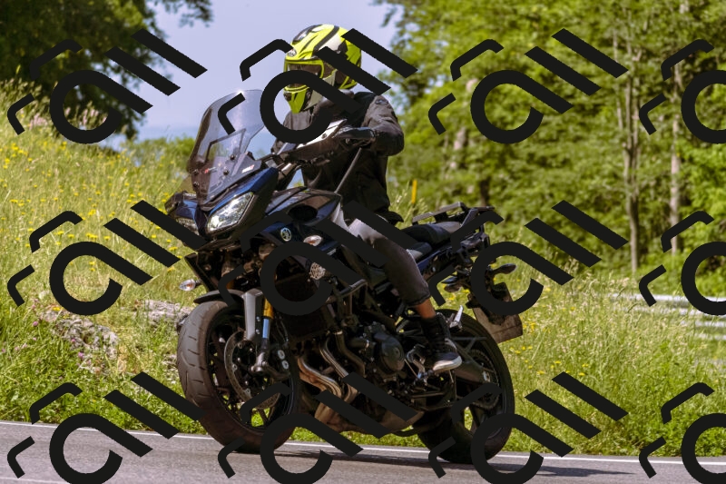 202506081050-_DSC8262_d1_