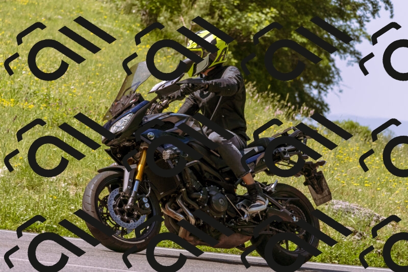 202506081050-_DSC8263_d1_