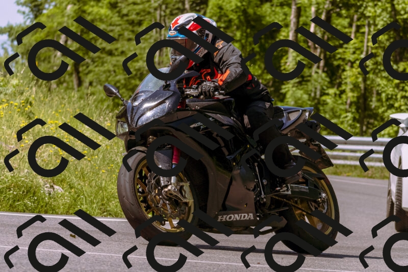 202506081052-_DSC8269_d1_