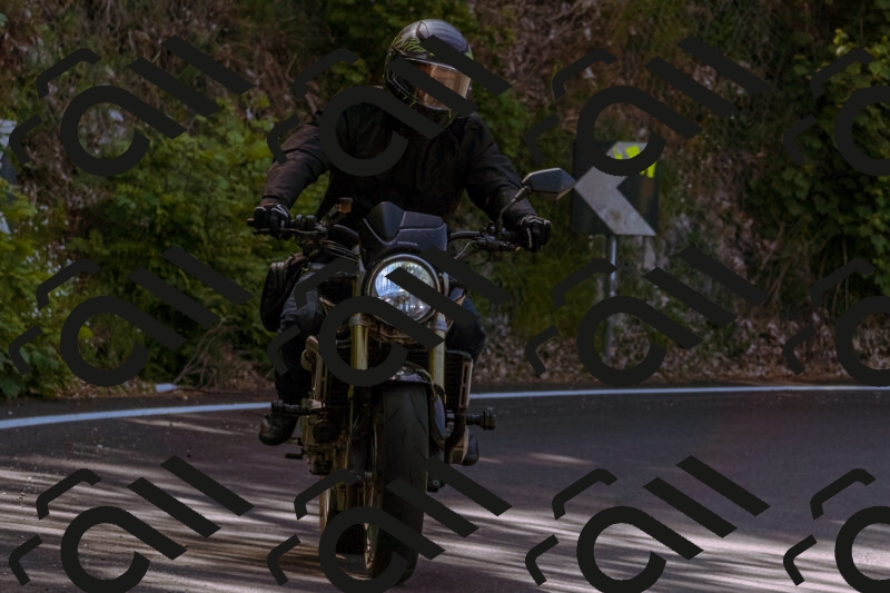 202506081052-_DSC8270_d1_