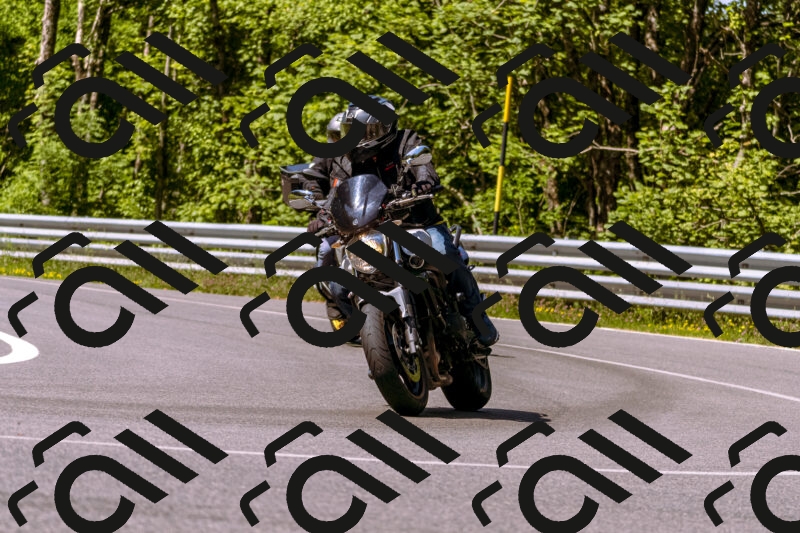 202506081054-_DSC8275_d1_