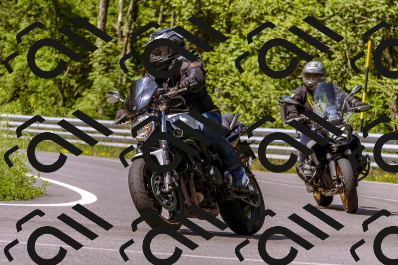 202506081054-_DSC8276_d1_