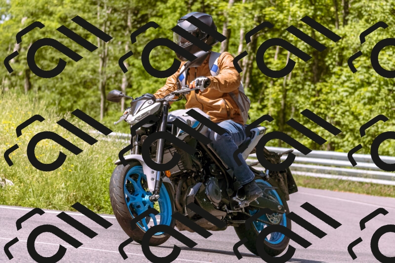 202506081056-_DSC8295_d1_