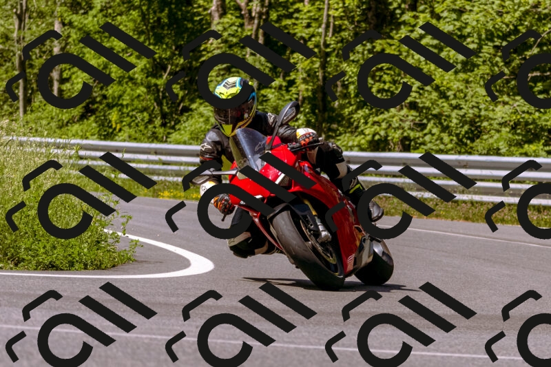 202506081057-_DSC8303_d1_