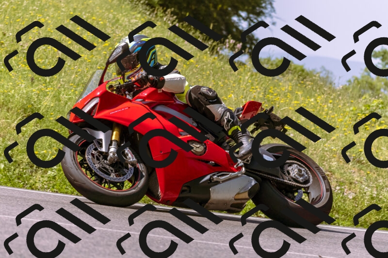 202506081057-_DSC8305_d1_