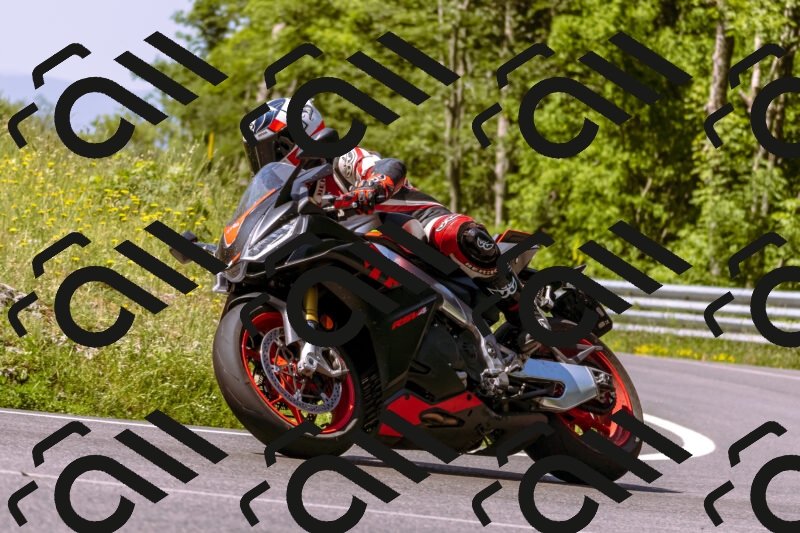 202506081057-_DSC8308_d1_