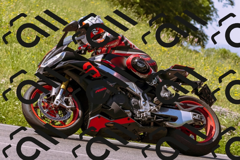 202506081057-_DSC8309_d1_