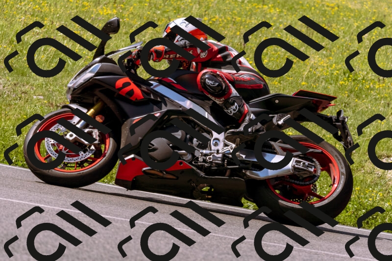 202506081057-_DSC8310_d1_