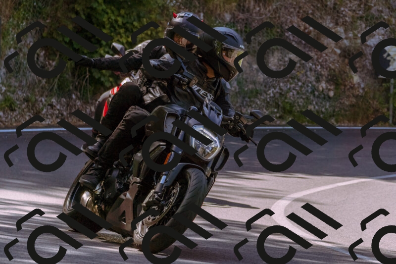 202506081057-_DSC8312_d1_