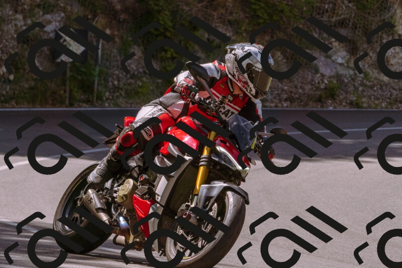 202506081059-_DSC8319_d1_