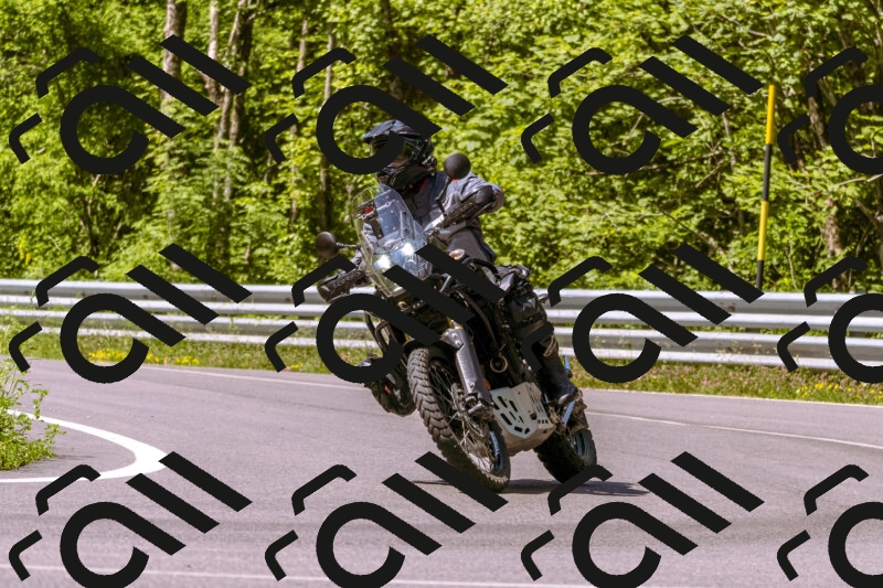 202506081100-_DSC8320_d1_