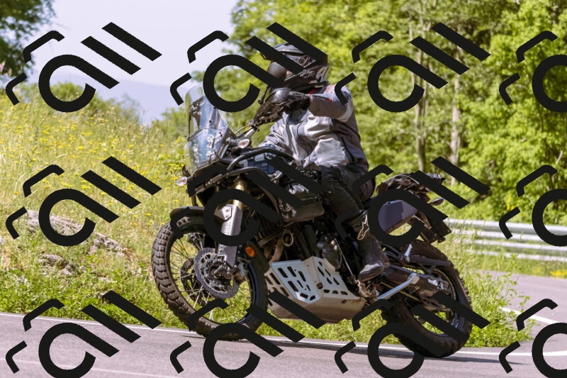 202506081100-_DSC8322_d1_