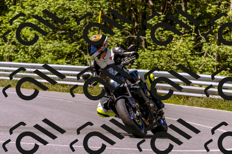 202506081100-_DSC8323_d1_