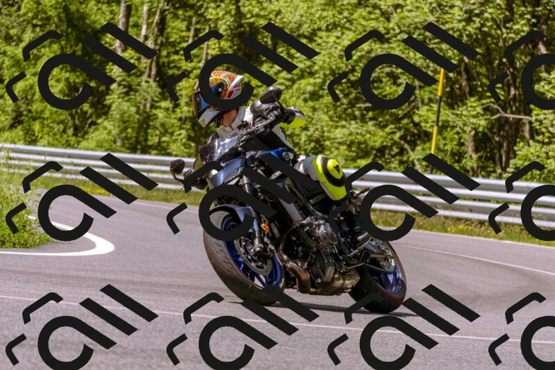 202506081100-_DSC8324_d1_