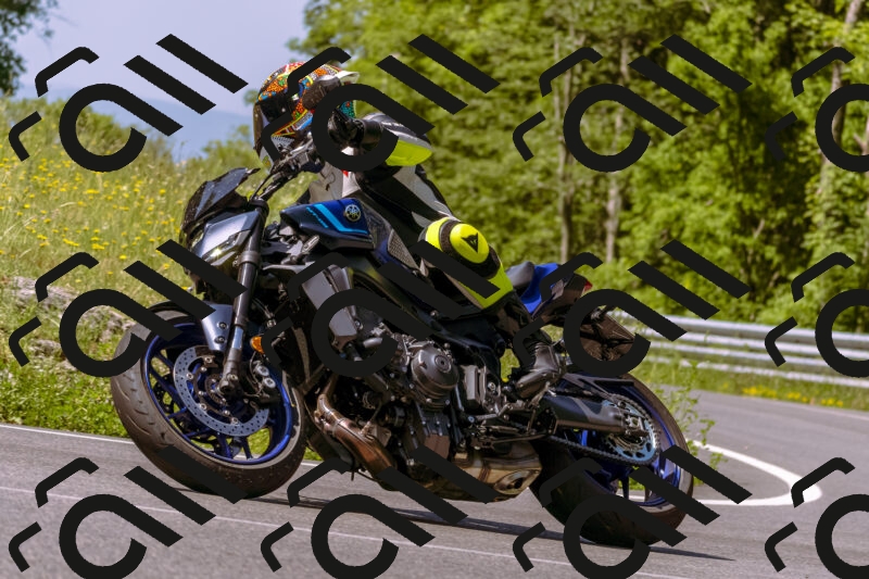 202506081100-_DSC8325_d1_