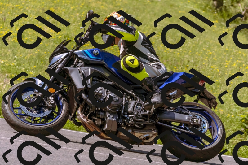 202506081100-_DSC8326_d1_