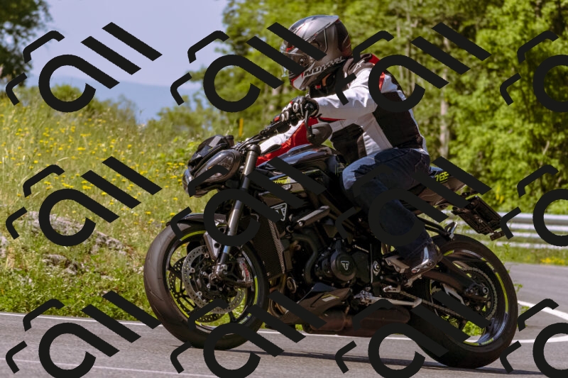 202506081100-_DSC8331_d1_