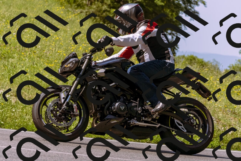 202506081100-_DSC8332_d1_