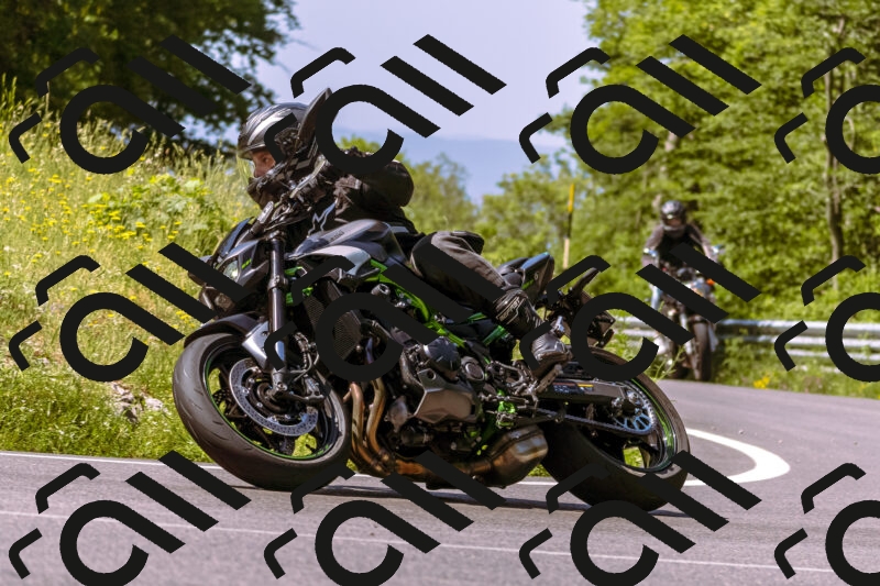 202506081104-_DSC8337_d1_