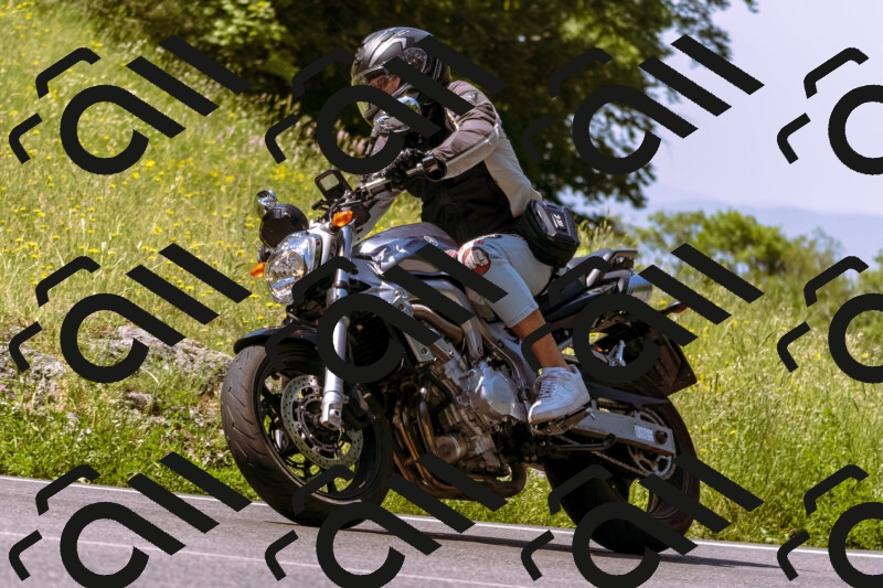 202506081104-_DSC8341_d1_