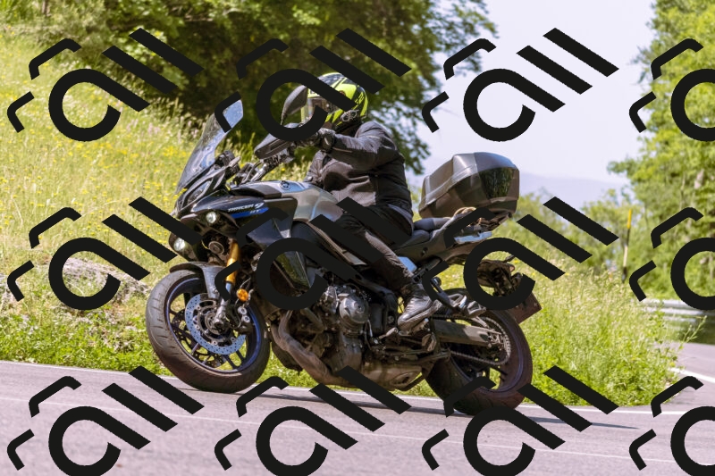 202506081105-_DSC8343_d1_