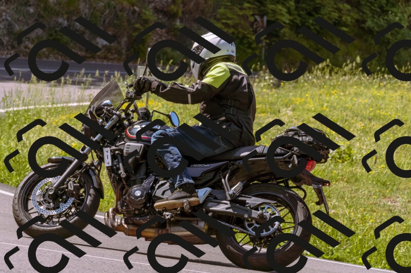 202506081105-_DSC8344_d1_