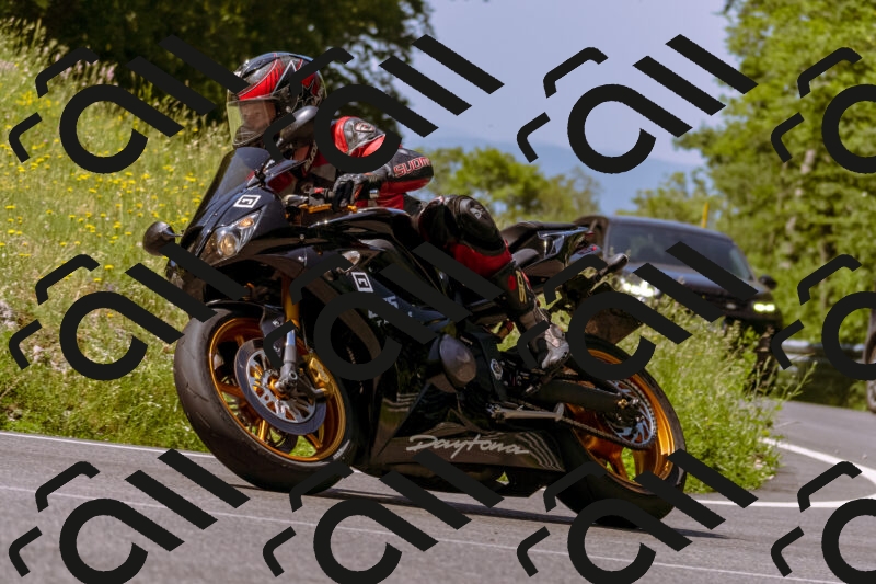 202506081105-_DSC8346_d1_