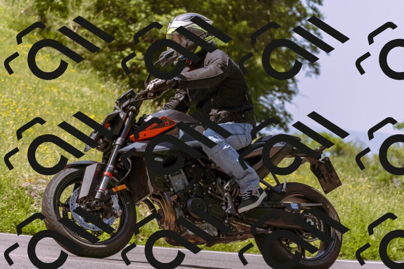 202506081105-_DSC8350_d1_