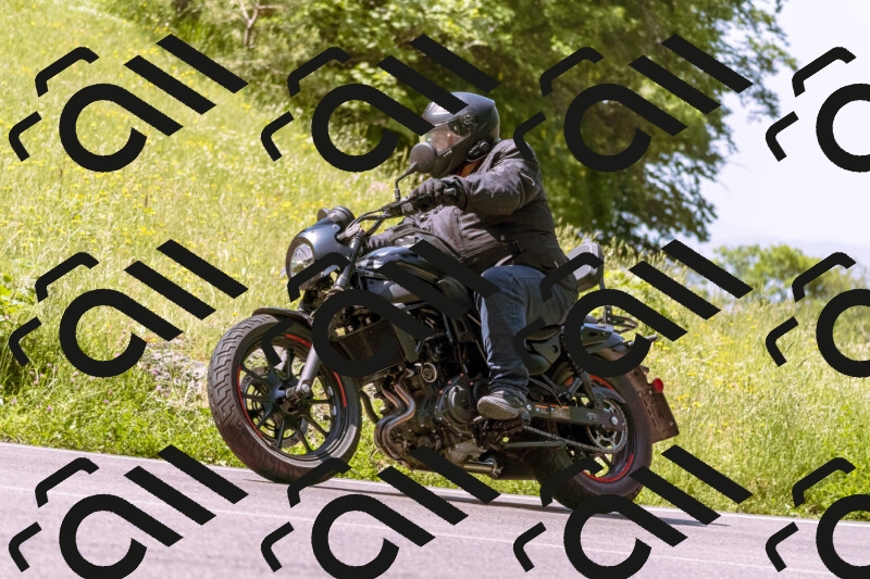 202506081106-_DSC8356_d1_