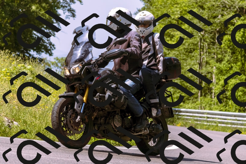 202506081108-_DSC8361_d1_