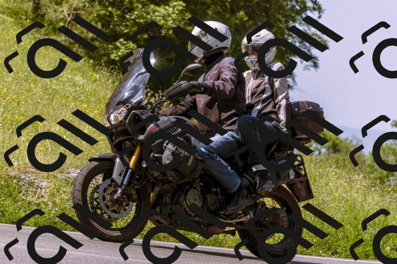 202506081108-_DSC8362_d1_