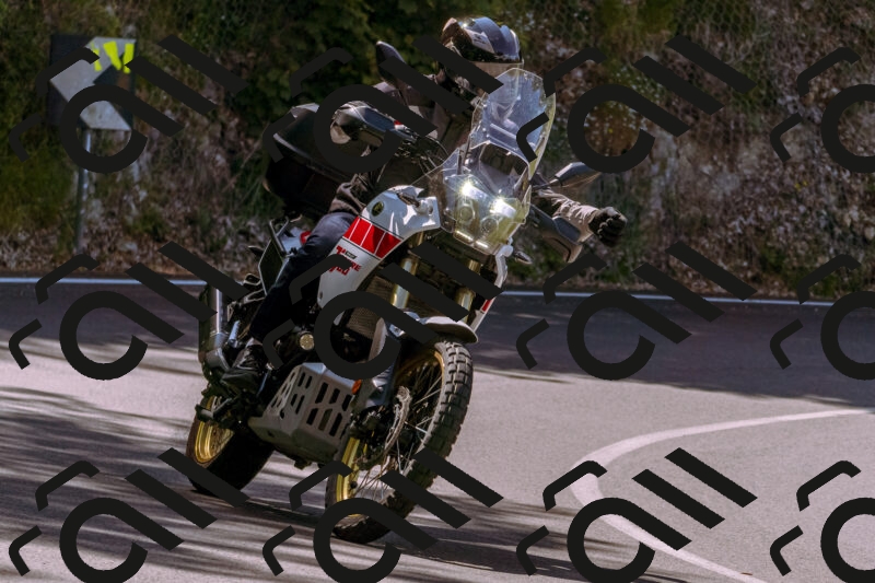 202506081108-_DSC8373_d1_