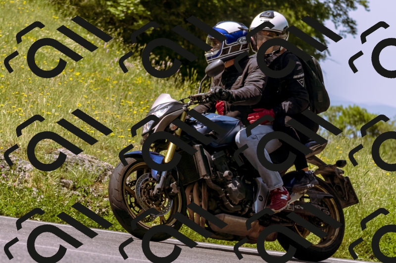 202506081109-_DSC8377_d1_