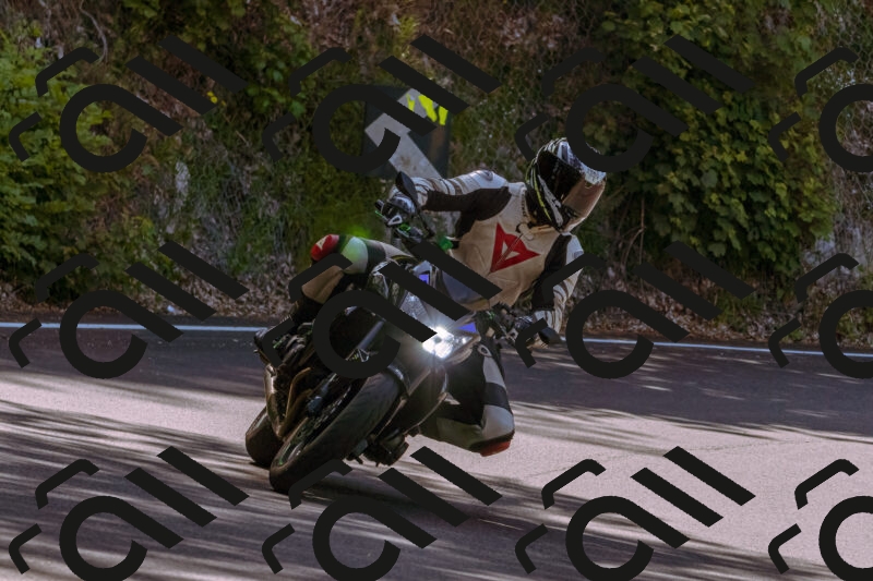 202506081110-_DSC8380_d1_