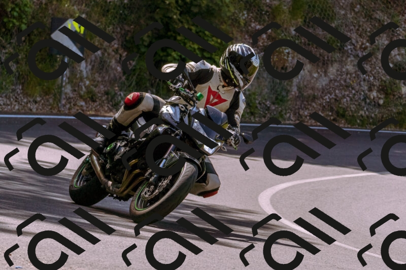 202506081110-_DSC8381_d1_