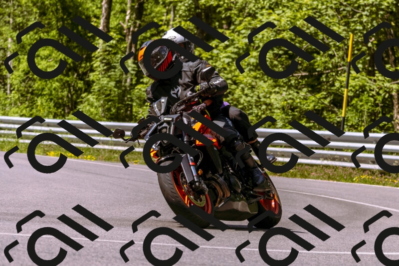 202506081110-_DSC8387_d1_