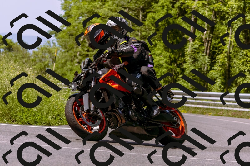 202506081110-_DSC8388_d1_